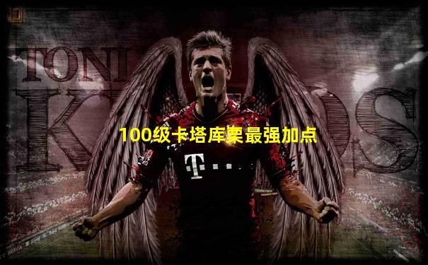 100级卡塔库栗最强加点