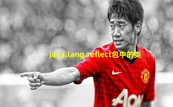 java.lang.reflect包中的类