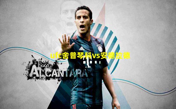 ufc舍普琴科vs安德拉德