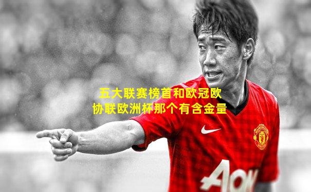 五大联赛榜首和欧冠欧协联欧洲杯那个有含金量
