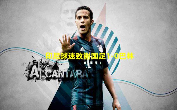 印尼球迷致谢国足1-0巴林