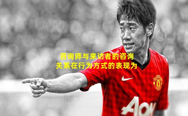 咨询师与来访者的咨询关系在行为方式的表现为