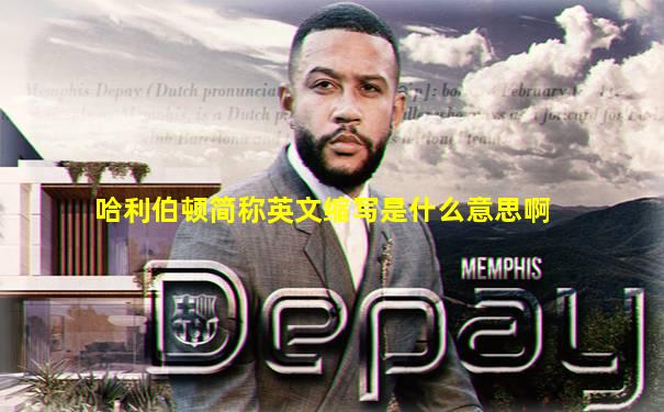 哈利伯顿简称英文缩写是什么意思啊
