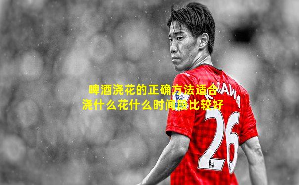 啤酒浇花的正确方法适合浇什么花什么时间段比较好