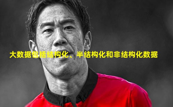 大数据包括结构化、半结构化和非结构化数据