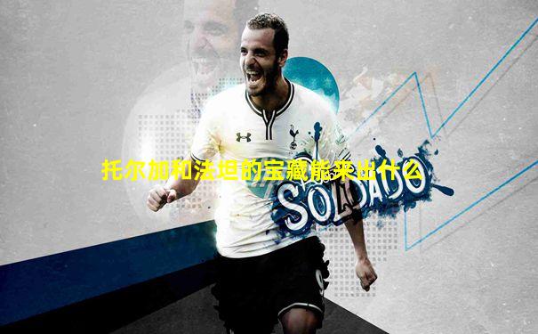 托尔加和法坦的宝藏能来出什么