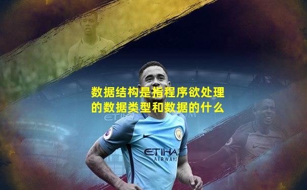 数据结构是指程序欲处理的数据类型和数据的什么