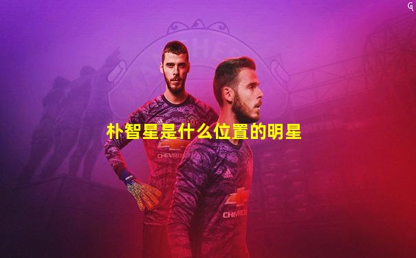 朴智星是什么位置的明星