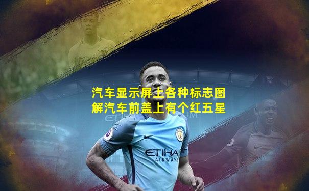 汽车显示屏上各种标志图解汽车前盖上有个红五星