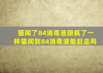 猫闻了84消毒液跟疯了一样猫闻到84消毒液能赶走吗
