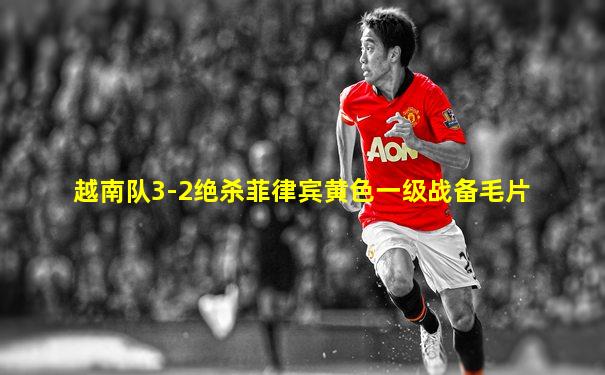越南队3-2绝杀菲律宾黄色一级战备毛片