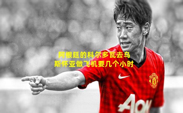 阿根廷的科尔多瓦去乌斯怀亚做飞机要几个小时