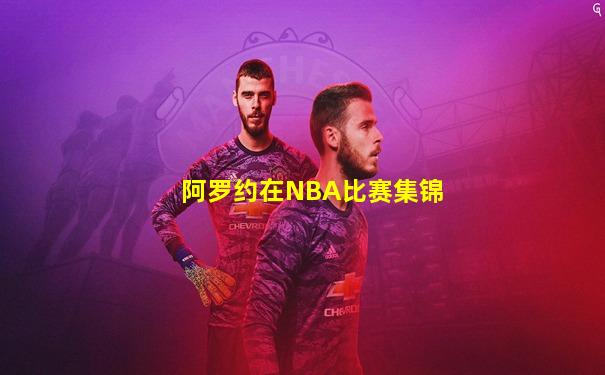 阿罗约在NBA比赛集锦