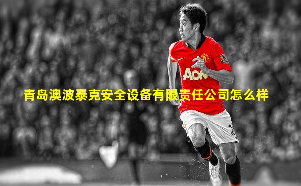 青岛澳波泰克安全设备有限责任公司怎么样