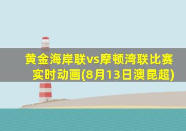 黄金海岸联vs摩顿湾联比赛实时动画(8月13日澳昆超)